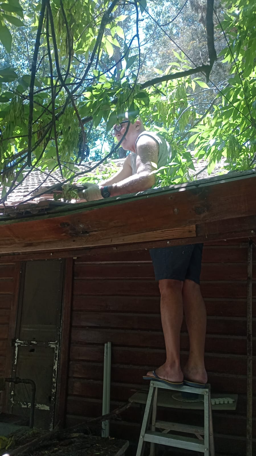 WhatsApp Image 2024-11-23 at 12.41.58.jpeg